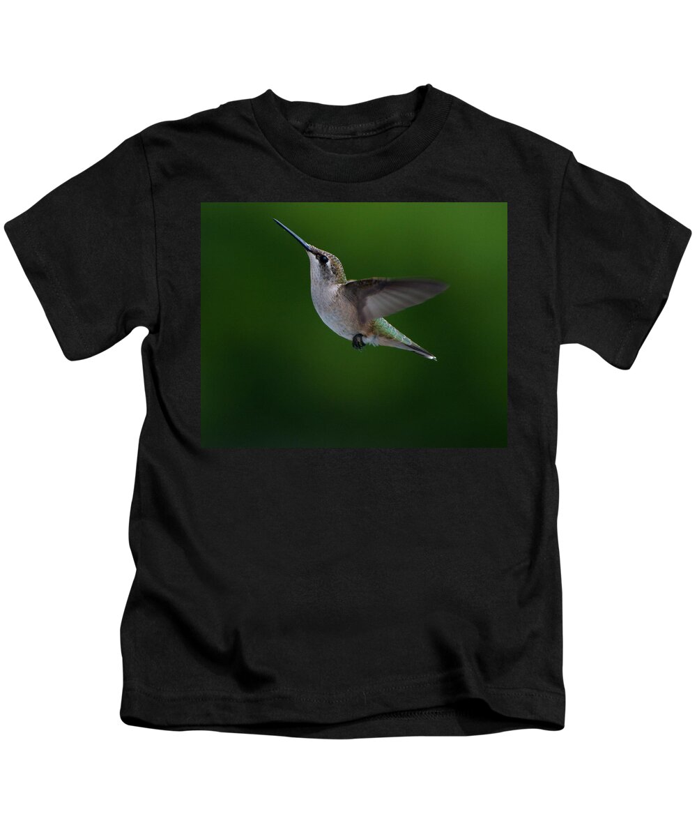 Hummers Kids T-Shirt featuring the photograph Female Ruby Throated Hummingbird #4 by Brenda Jacobs