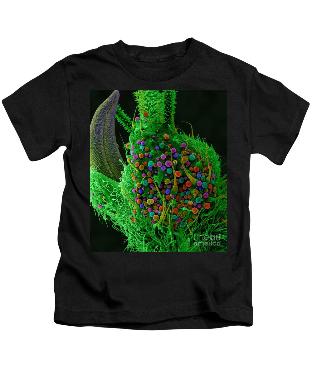 Biological Kids T-Shirt featuring the photograph Marijuana, Cannabis Sativa, Sem #4 by Ted Kinsman