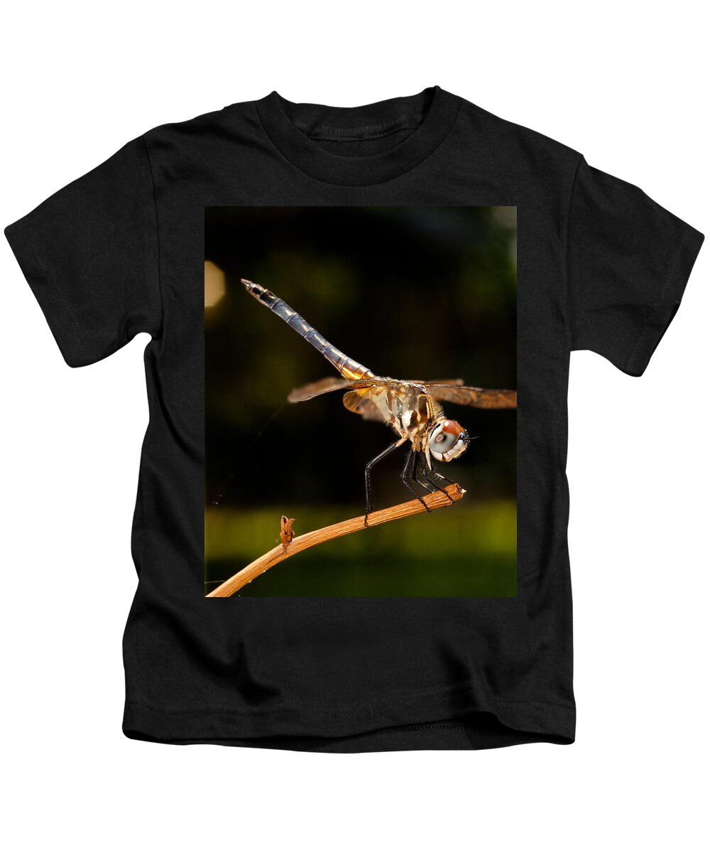 Dragonfly Kids T-Shirt featuring the photograph A Dragonfly by Christopher Holmes