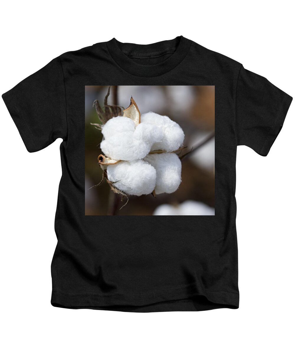 Cotton Kids T-Shirt featuring the photograph Alabama Cotton Boll by Kathy Clark