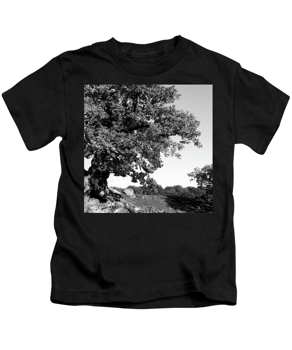 Woodland Kids T-Shirt featuring the photograph Ancient Oak, Bradgate Park by John Edwards