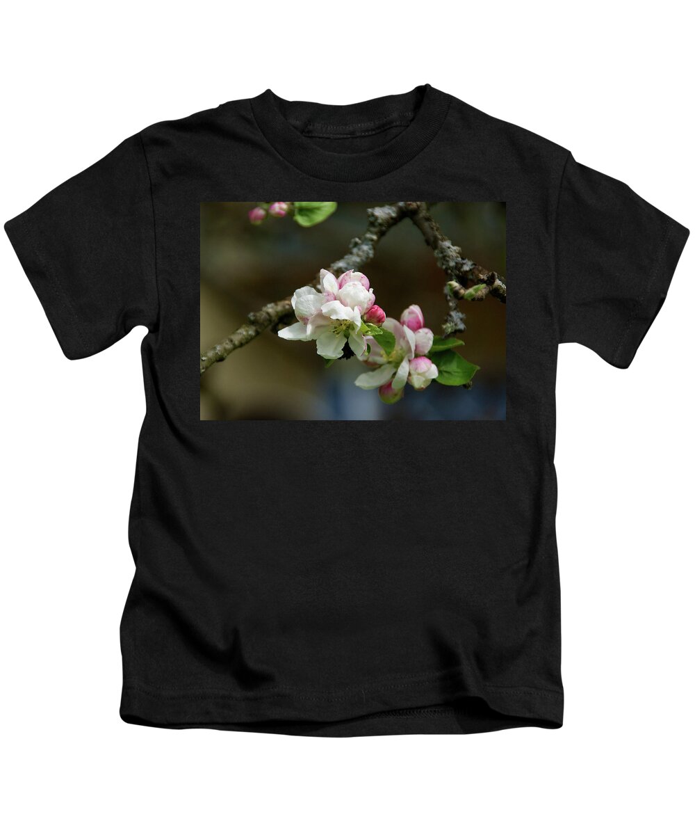 Apple Blossom Kids T-Shirt featuring the photograph Apple Blossom by Rebekah Zivicki