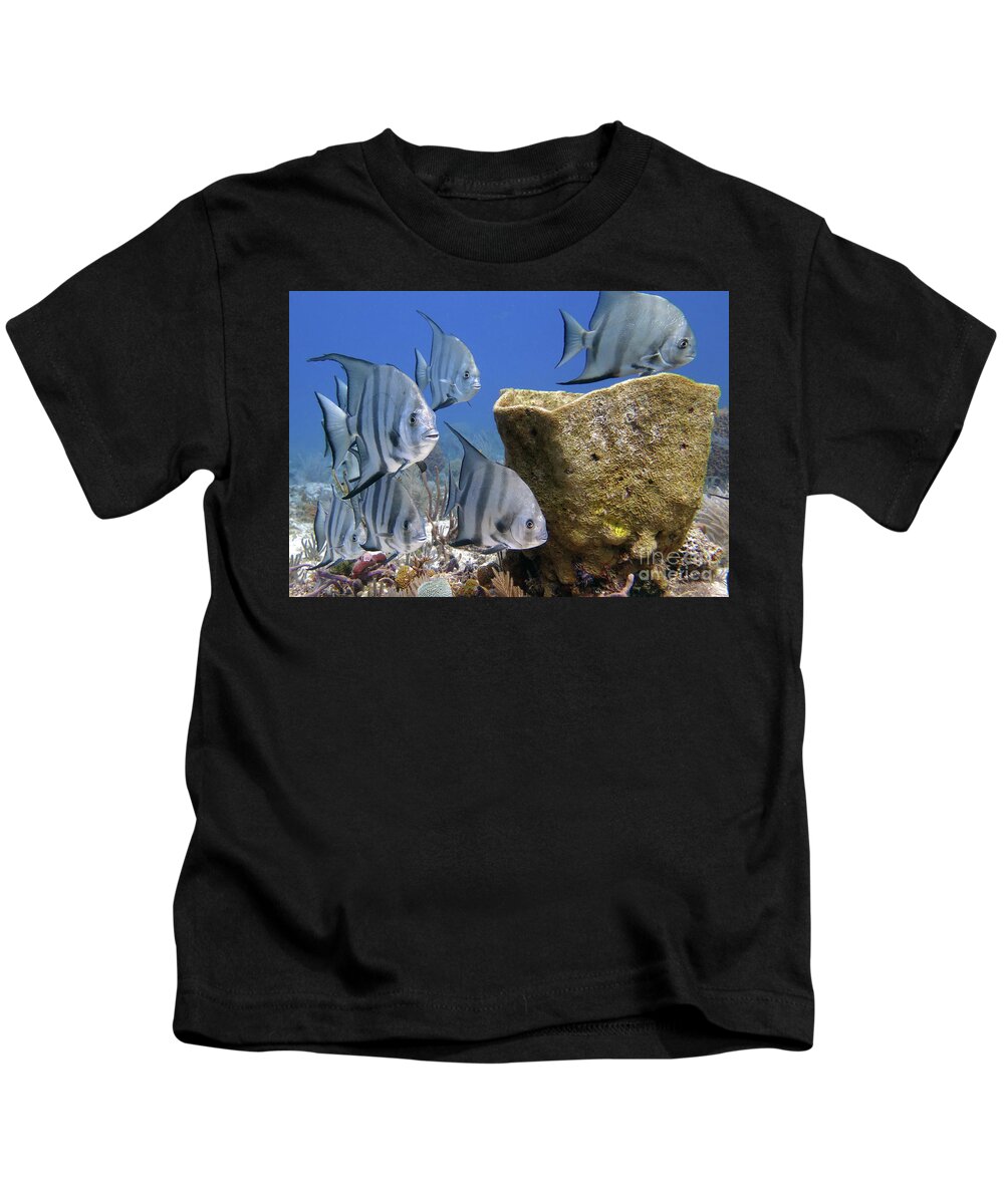 Underwater Kids T-Shirt featuring the photograph Atlantic Spadefish with Sponge by Daryl Duda