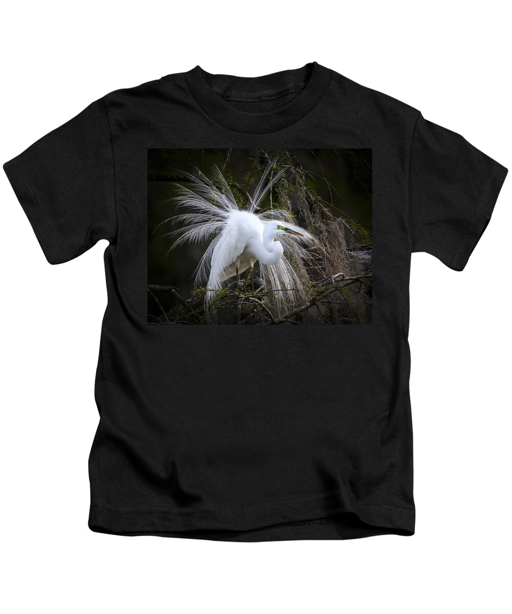 Great Egret Kids T-Shirt featuring the photograph Attraction by Jim Miller
