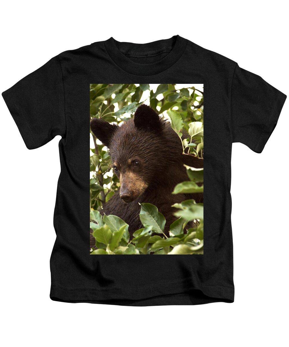 Black Bear Kids T-Shirt featuring the photograph Bear Cub in Apple Tree2 by Loni Collins