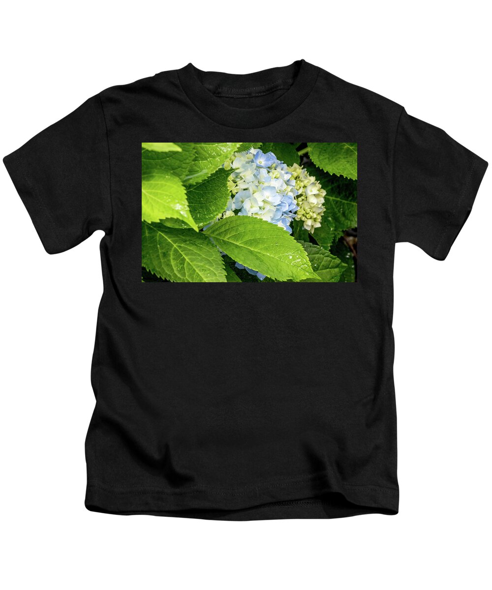 Lily Kids T-Shirt featuring the digital art Beautiful Hydrangea by Ed Stines