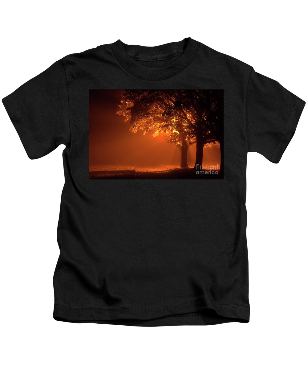 Night Kids T-Shirt featuring the photograph Beautiful trees at night with orange light by Simon Bratt