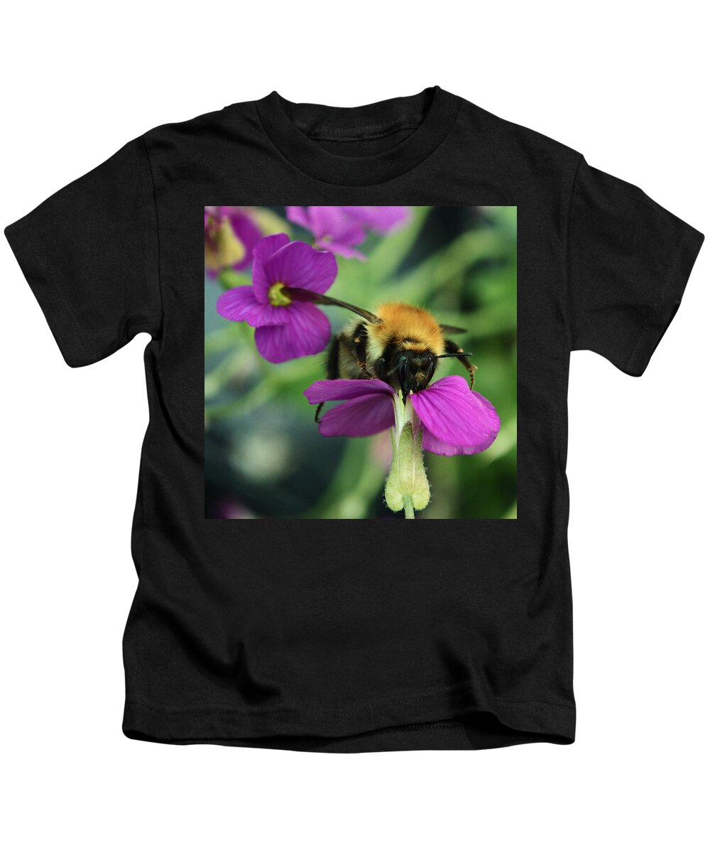 Bee Kids T-Shirt featuring the photograph Bee At Work by Adrian Wale