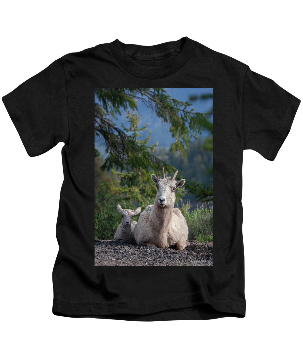 Mark Miller Photos Kids T-Shirt featuring the photograph Bighorn Sheep Family by Mark Miller