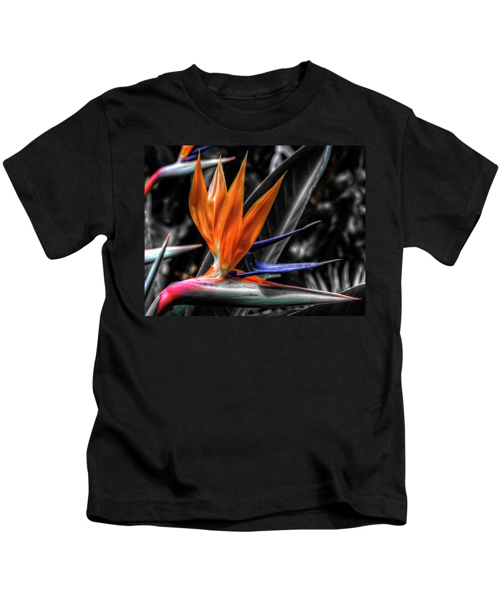 Strelitzia Kids T-Shirt featuring the photograph Bird of Paradise by Wayne Sherriff