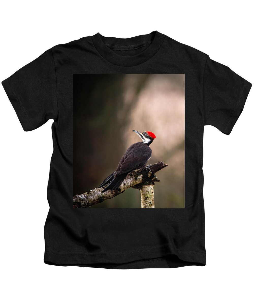 Canada Kids T-Shirt featuring the photograph Birds of BC - No.6 - Pileated Woodpecker - Dryocopus pileatus by Paul W Sharpe Aka Wizard of Wonders