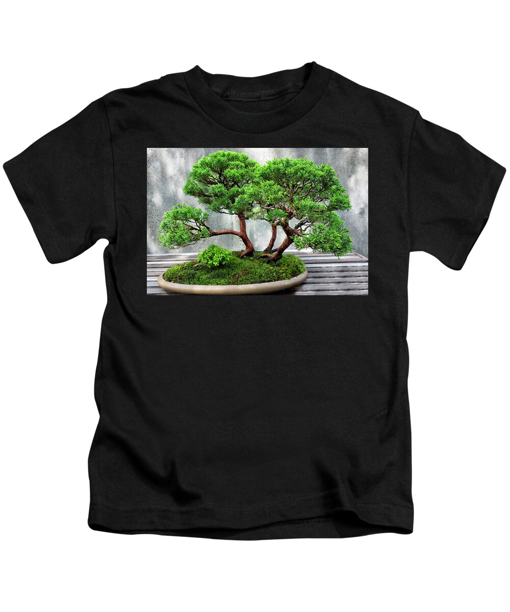 Bonsai Kids T-Shirt featuring the photograph Bonsai Tree Series Y6405 by Carlos Diaz