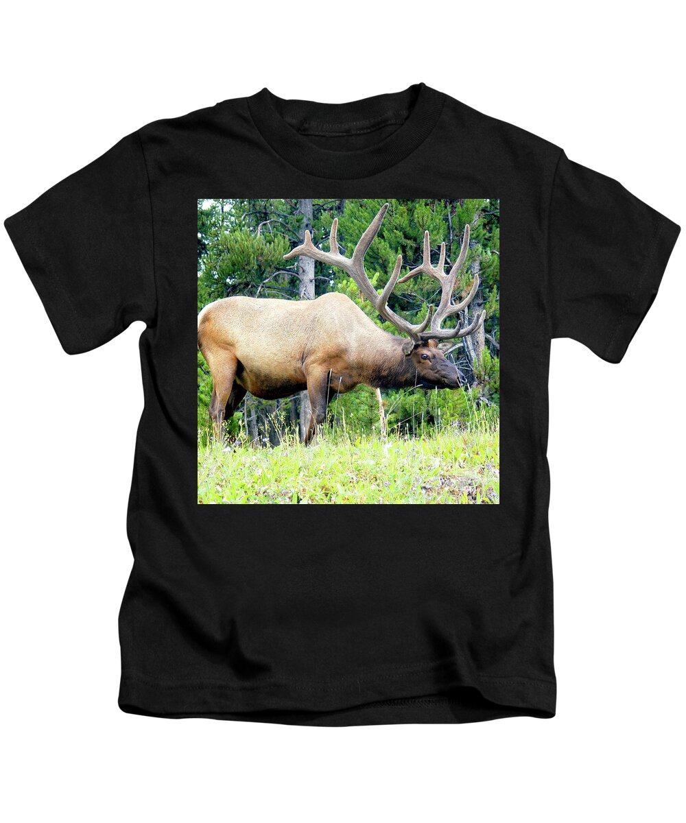 American Elk Kids T-Shirt featuring the photograph Bull Elk with a Big Rack by Gunther Allen