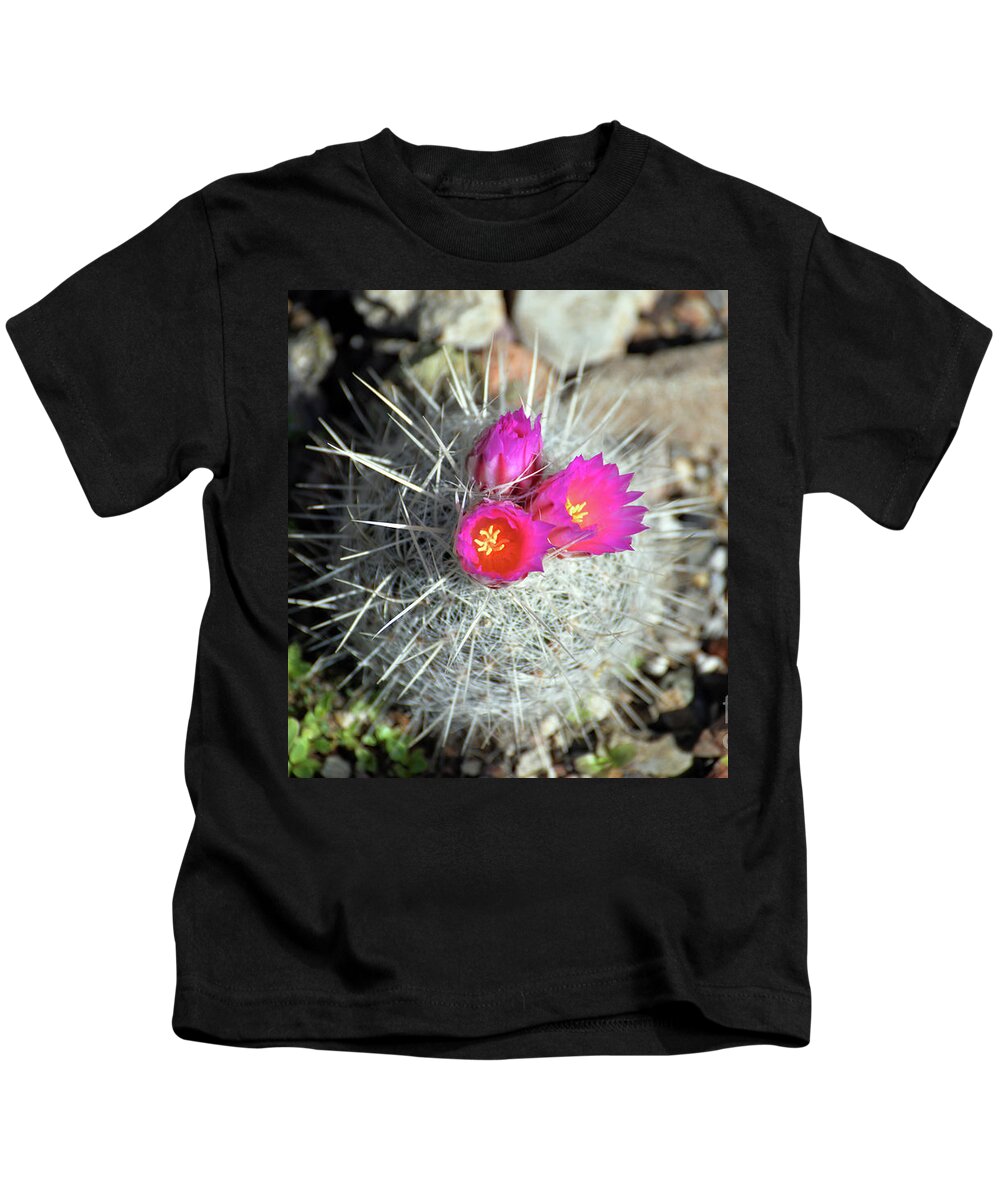 Denise Bruchman Kids T-Shirt featuring the photograph Chihuahua Snowball 1 by Denise Bruchman