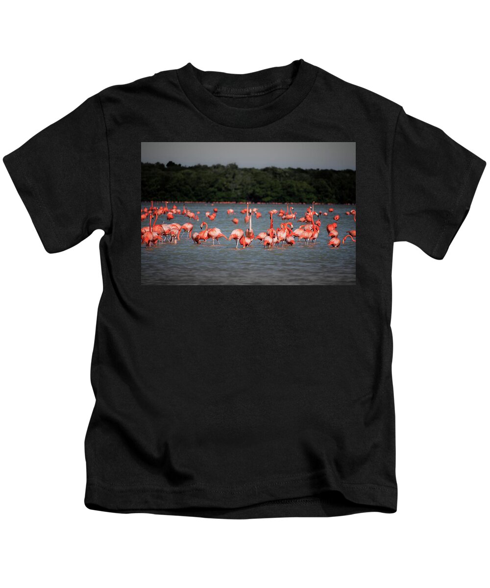 Mexico Kids T-Shirt featuring the photograph Chillout with flamingos by Robert Grac