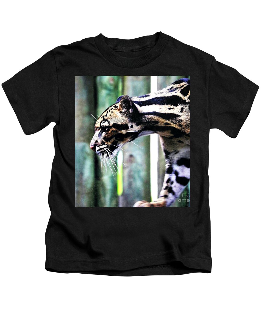 Clouded Leopard Kids T-Shirt featuring the photograph Clouded Leopard Profile Square by Diann Fisher