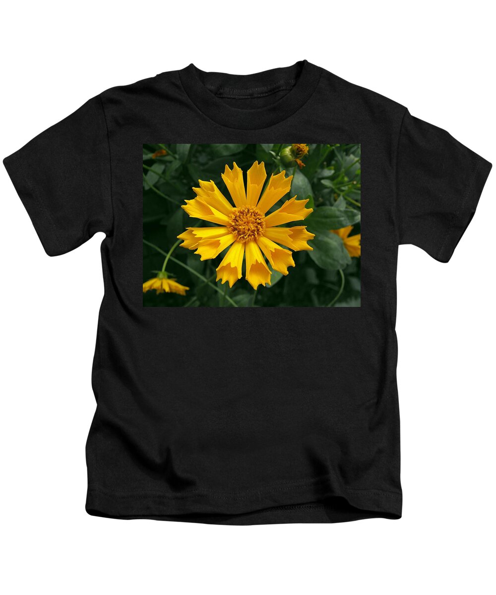 Floral Picture Kids T-Shirt featuring the photograph Coreopsis Jethro Tull by Kae Cheatham