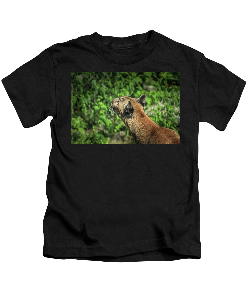 Cougar Kids T-Shirt featuring the photograph Cougar by Dana Foreman