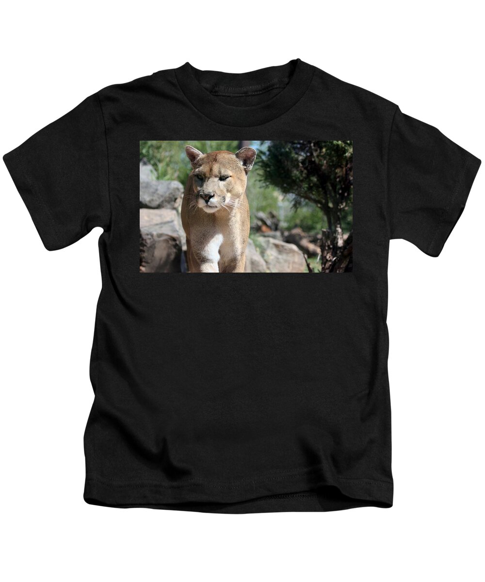 Nature Kids T-Shirt featuring the photograph Cougar by Sheila Brown