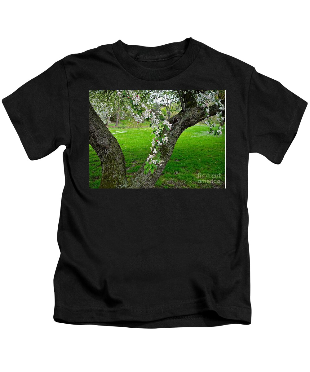 Blossoms Kids T-Shirt featuring the photograph Crabapple Blossoms On A Rainy Spring Day by Byron Varvarigos