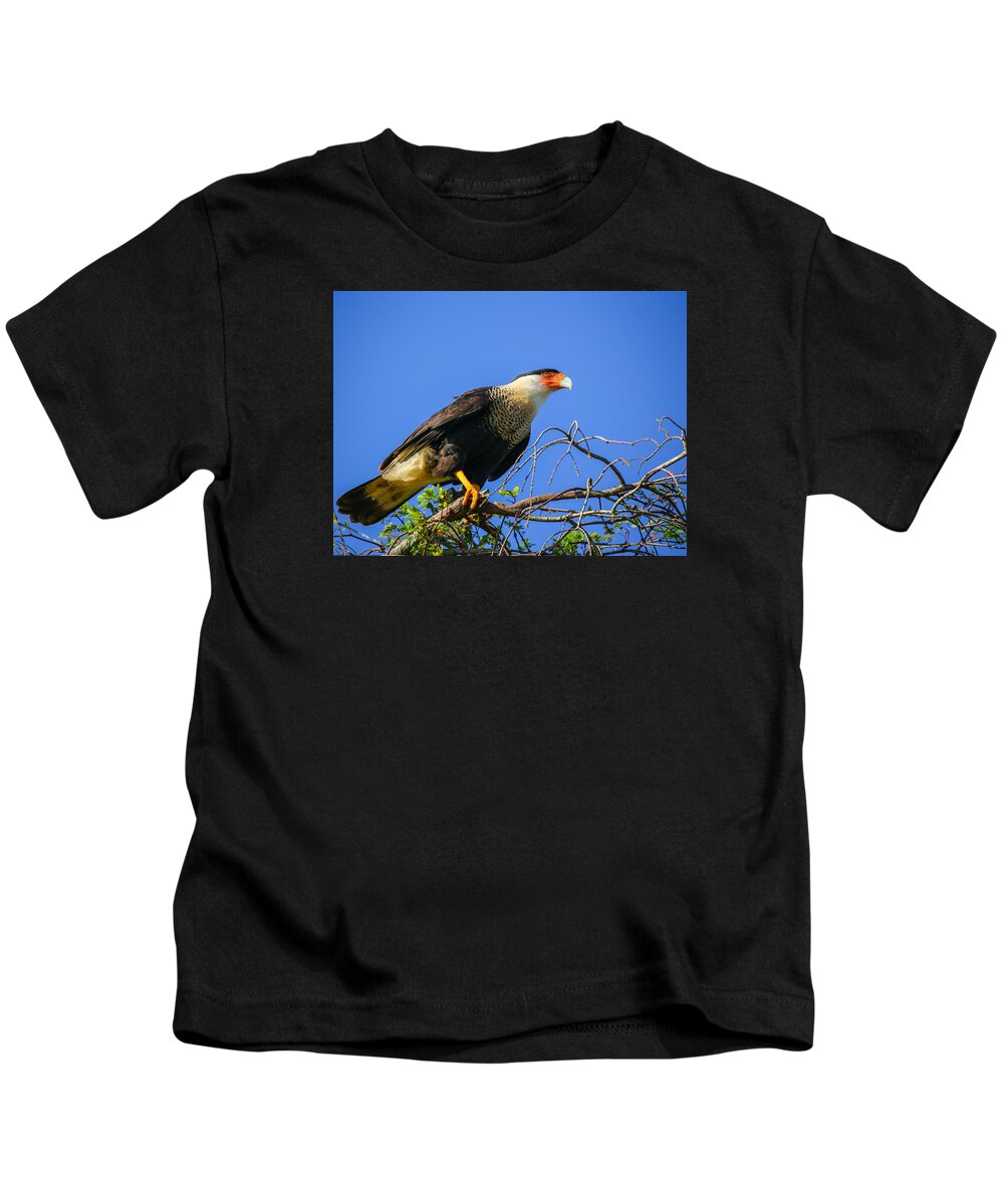 Bird Kids T-Shirt featuring the photograph Crested Caracar by Dart Humeston