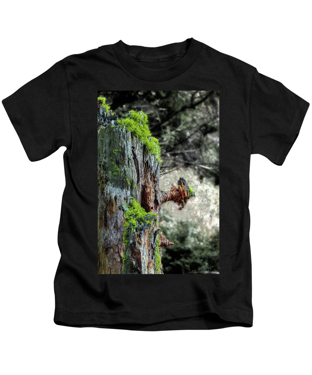 Moss Kids T-Shirt featuring the photograph Death and Life Along the Path by Harold Coleman