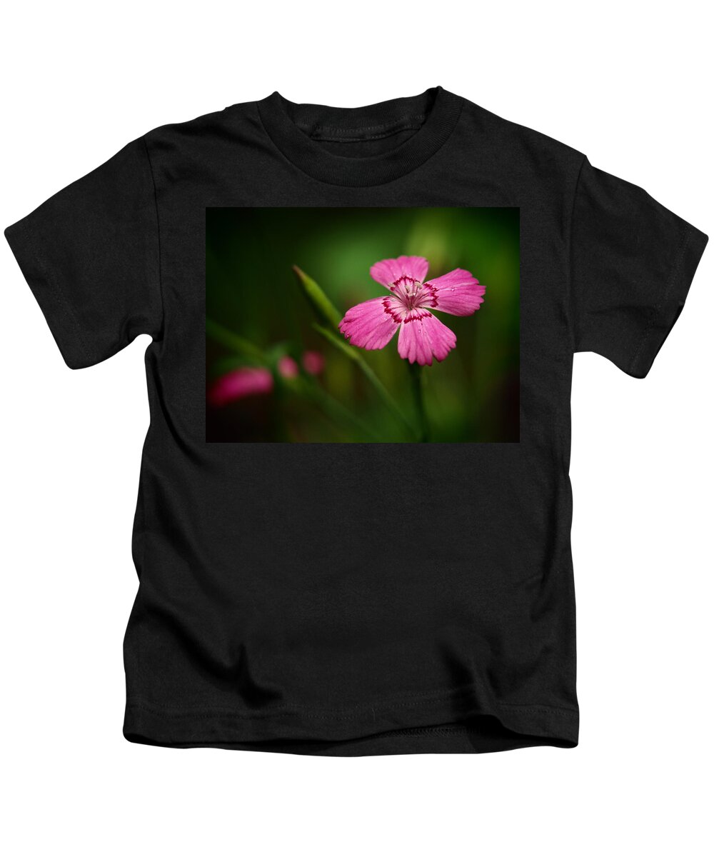 Flowers Kids T-Shirt featuring the photograph Dianthus In The Garden Shadows by Dorothy Lee