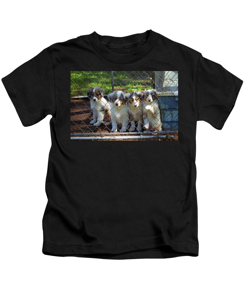 Animals Kids T-Shirt featuring the photograph Dogs. Let Us Out #2 by Frank Romeo