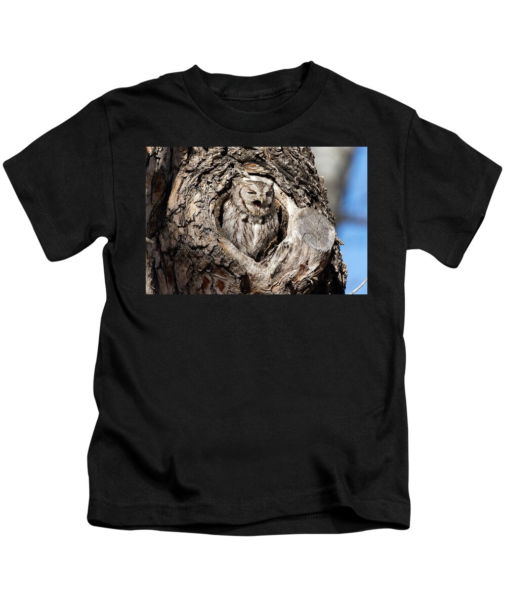 Owl Kids T-Shirt featuring the photograph Eastern Screech Owl Makes Some Noise by Tony Hake