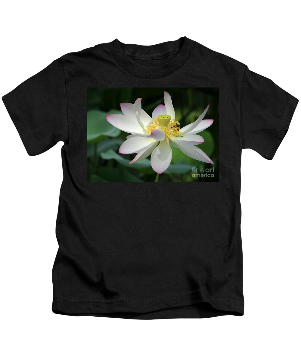 Lotus Kids T-Shirt featuring the photograph Elegant Lotus by Sabrina L Ryan