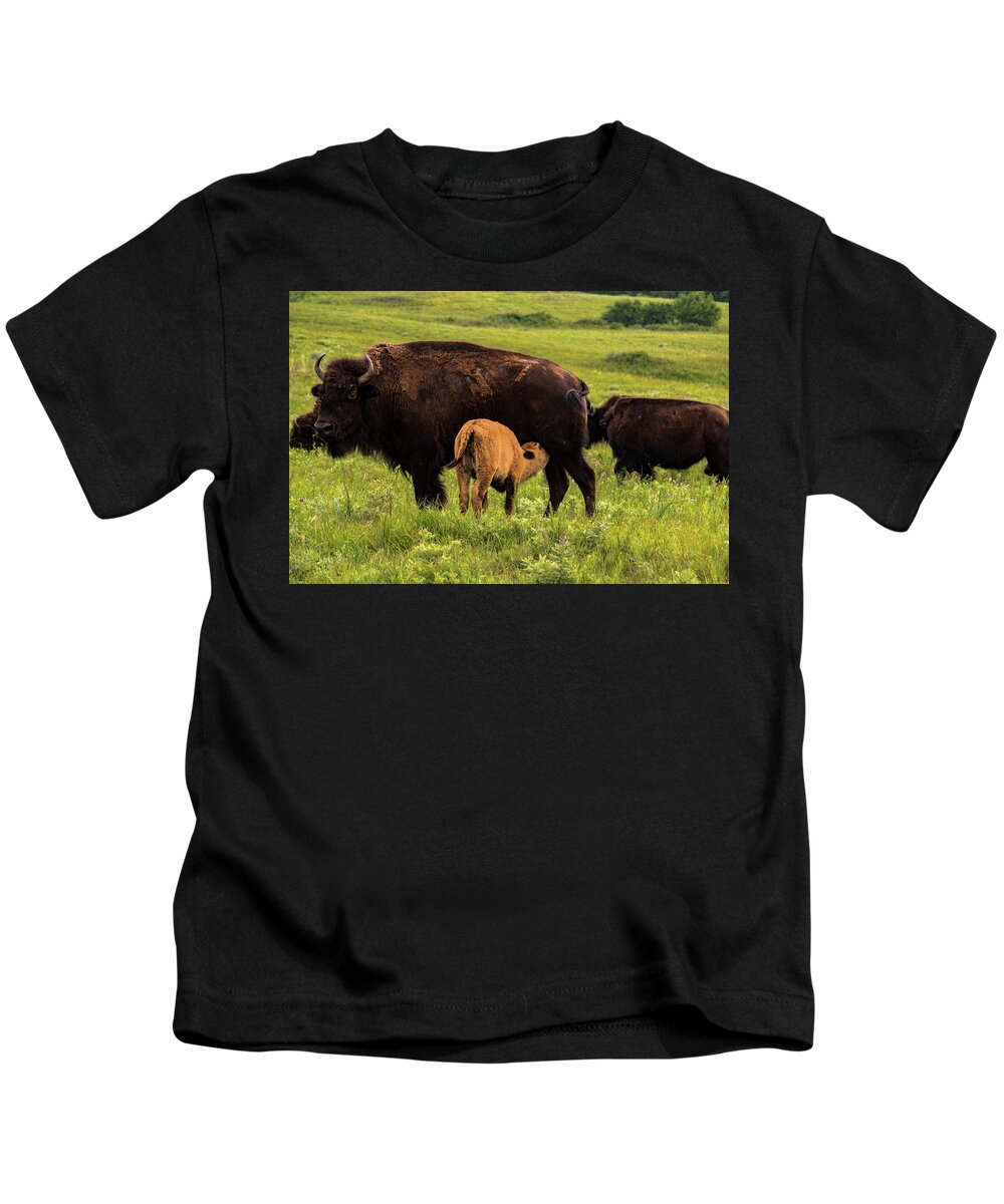 Jay Stockhaus Kids T-Shirt featuring the photograph Feeding Time by Jay Stockhaus