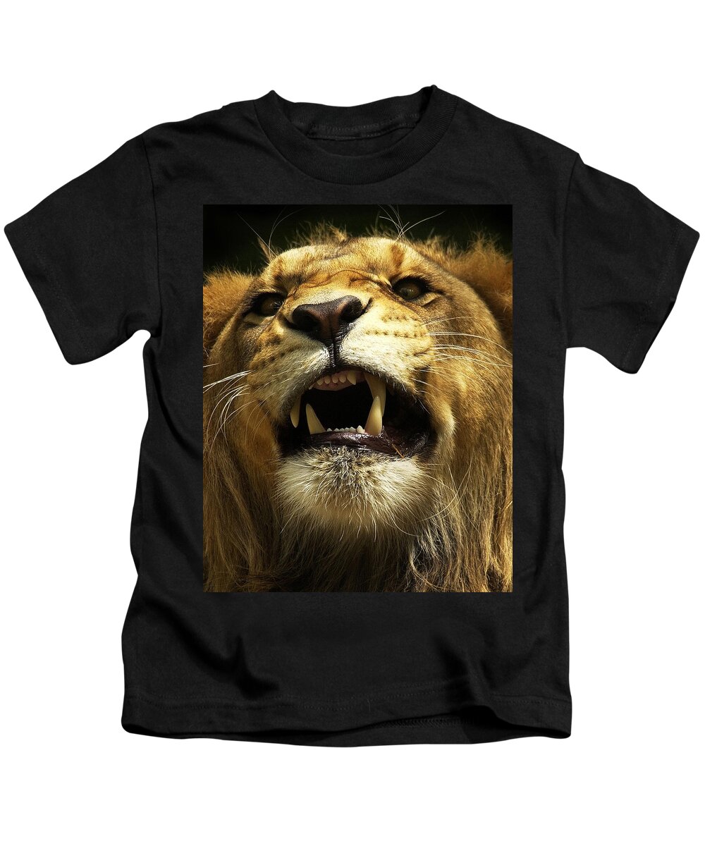 Lion. Leo Kids T-Shirt featuring the photograph Fierce by Wade Aiken