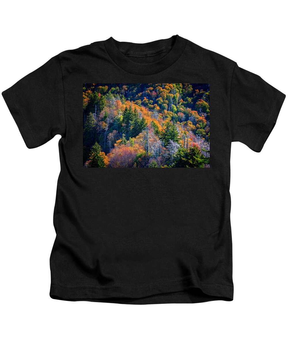 Chimney Tops Trail Kids T-Shirt featuring the photograph Foliage From Chimney Tops by Rick Berk