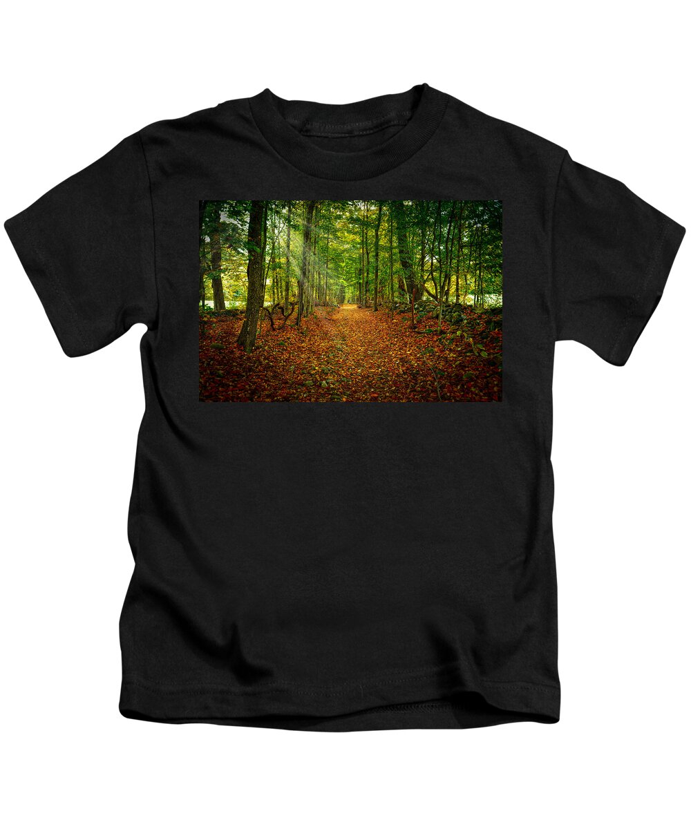 Greylock Mountain Kids T-Shirt featuring the photograph Follow the Yellow Leaf Road by Richard Gehlbach