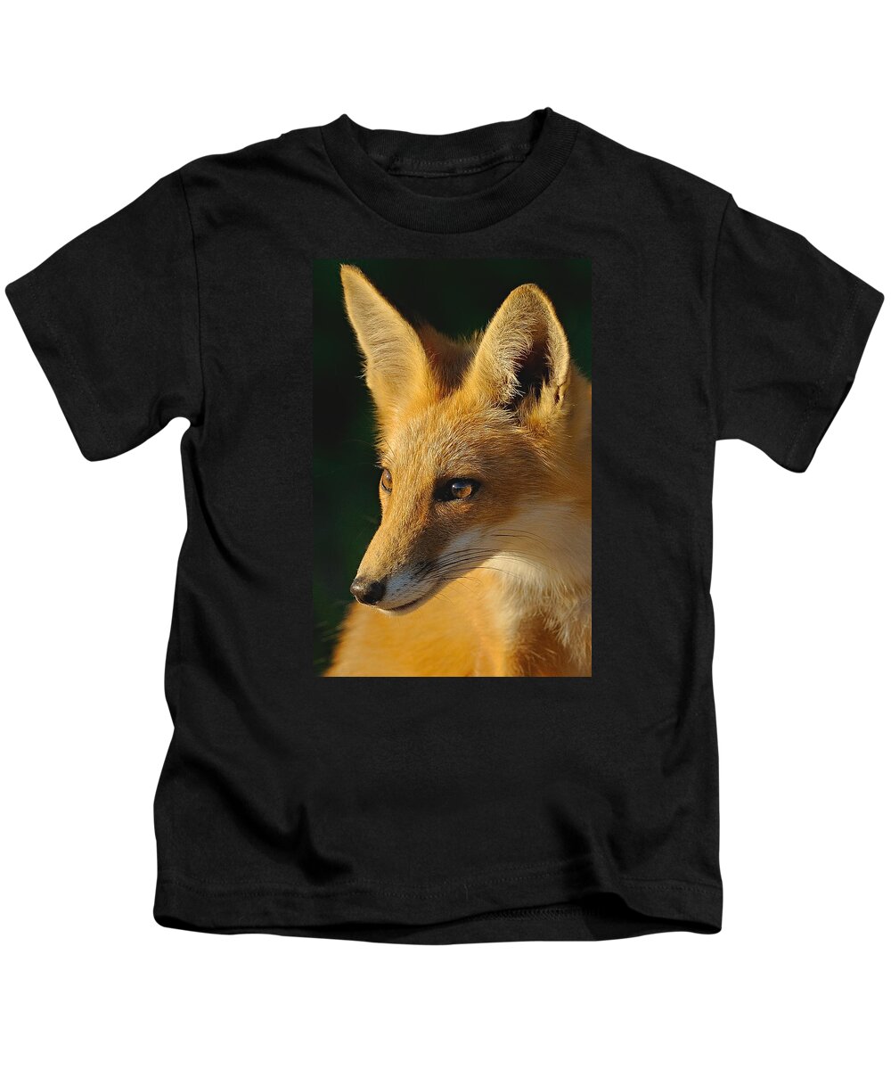 Fox Kids T-Shirt featuring the photograph Foxy Lady by William Jobes