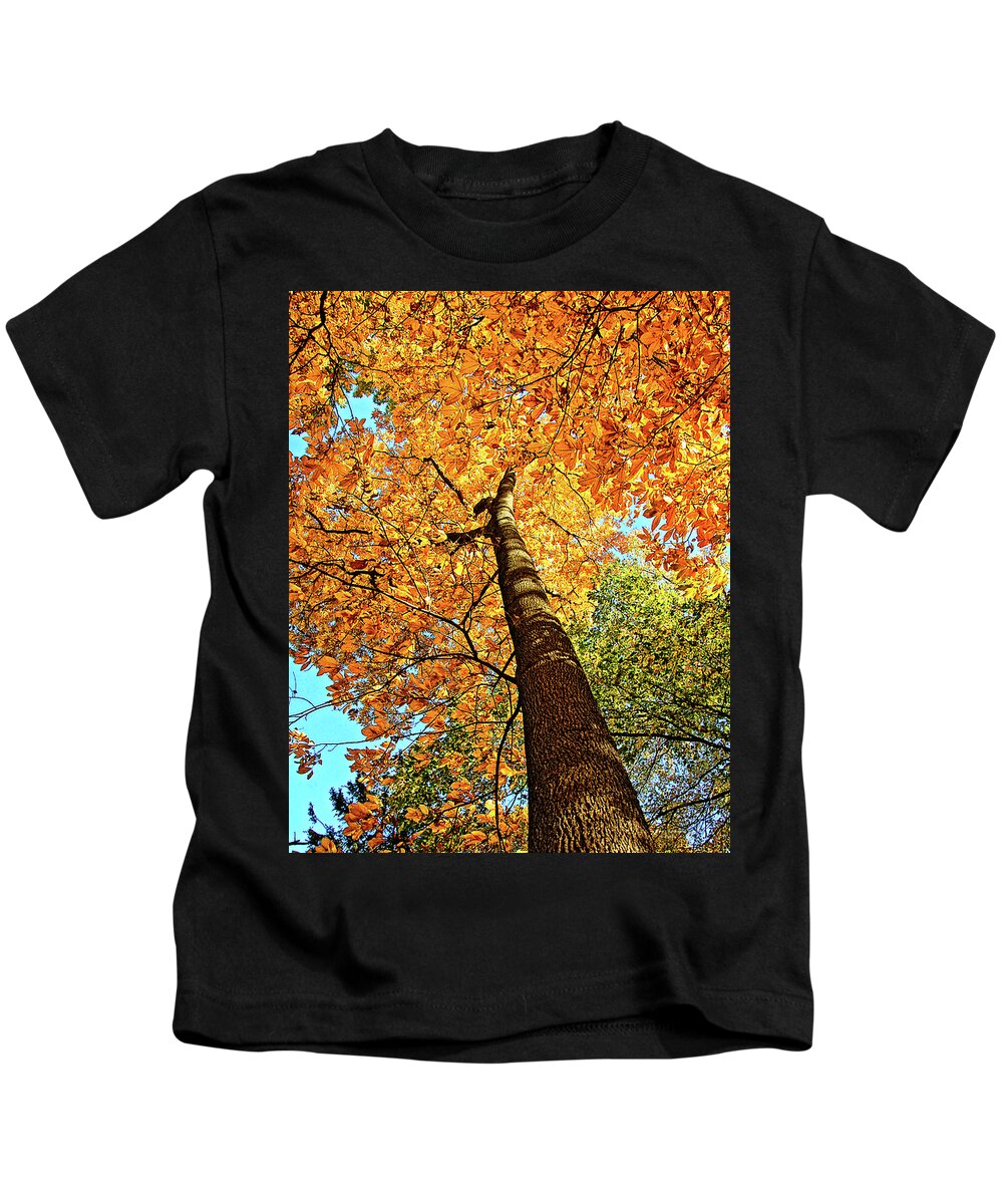 Hickory Tree Kids T-Shirt featuring the photograph Golden Hickory by Peg Runyan