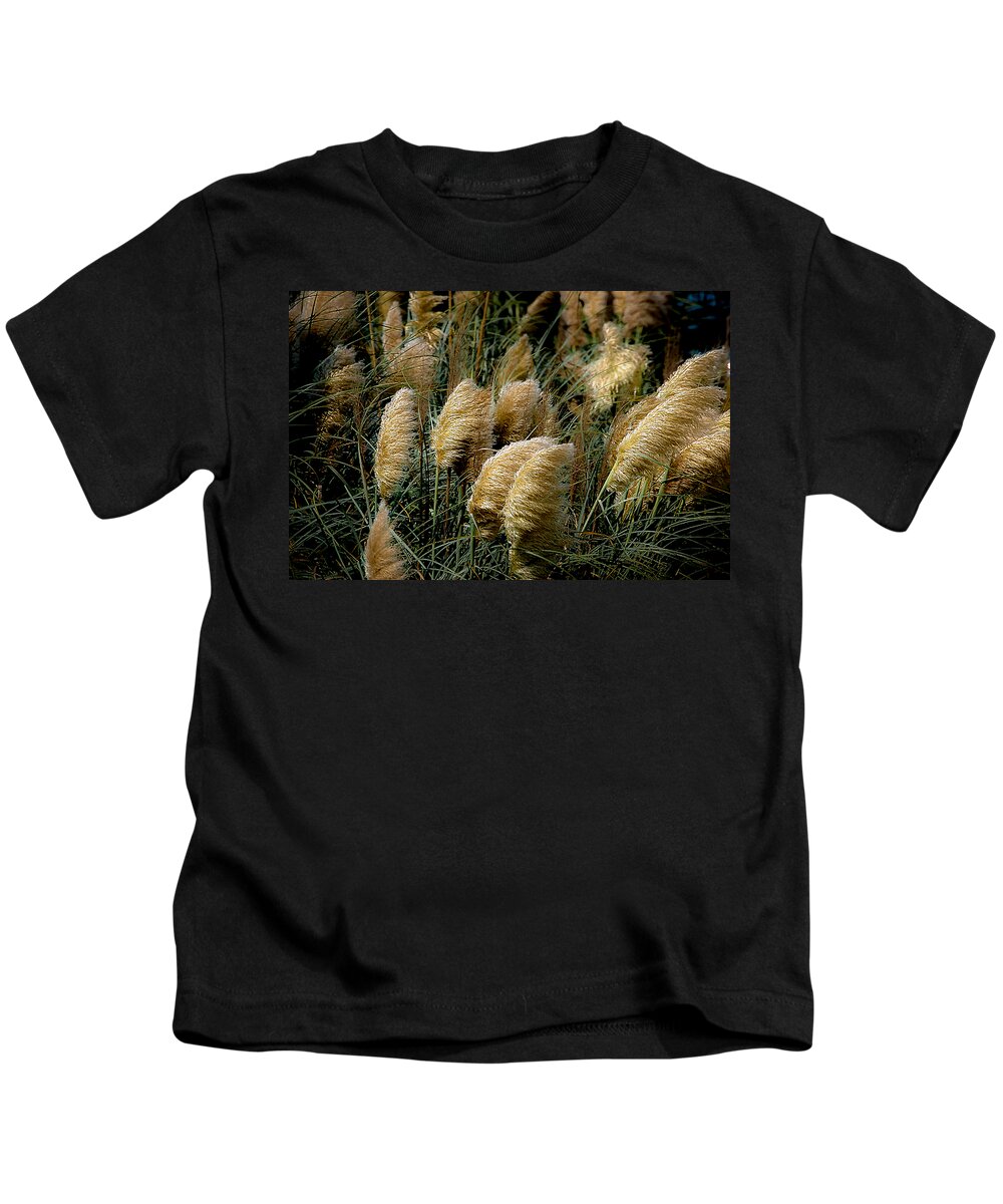 Pampas Kids T-Shirt featuring the photograph Golden Pampas in the Wind by DigiArt Diaries by Vicky B Fuller