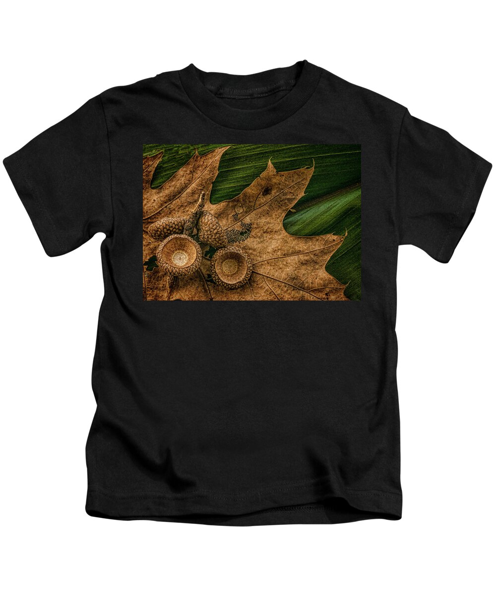 Acorn Kids T-Shirt featuring the photograph Harvested by Phyllis Meinke