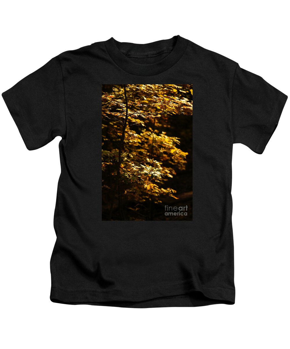 Autumn Kids T-Shirt featuring the photograph Hope Leaves by Linda Shafer