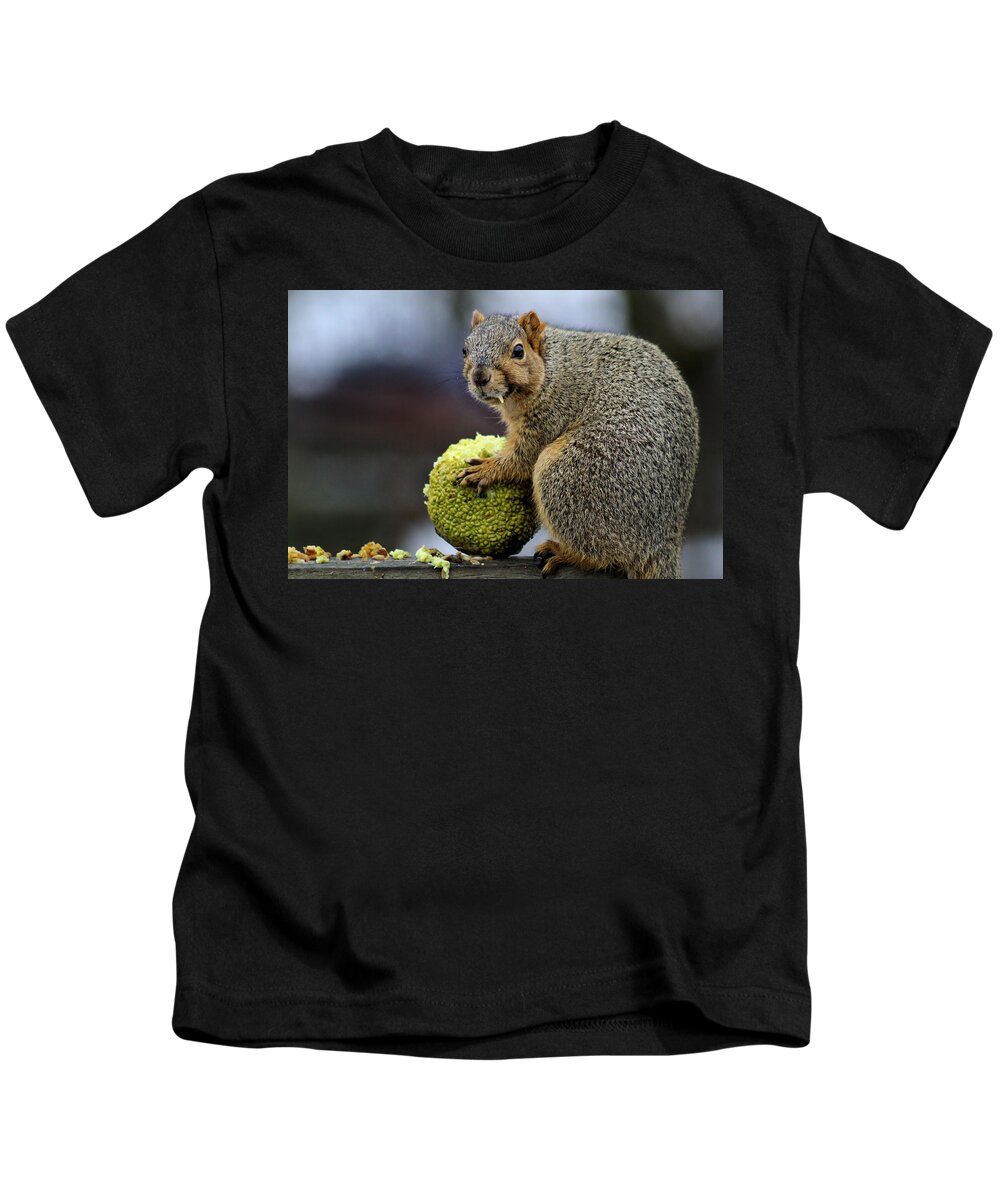 Squirrel Kids T-Shirt featuring the photograph Hungry Squirrel 1 by Denise Irving