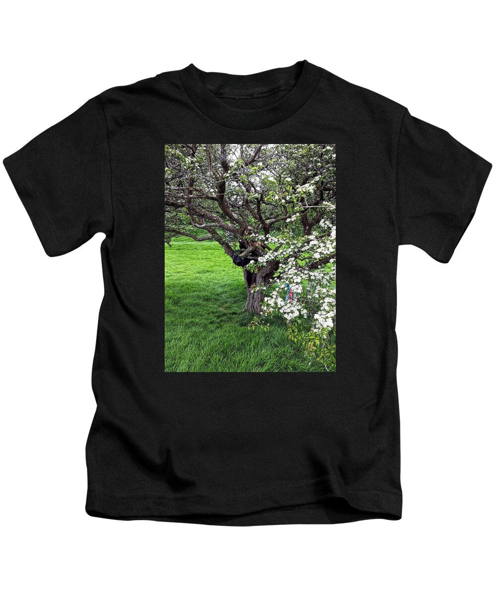 In The Fairy Tree Kids T-Shirt featuring the photograph In the Fairy Tree by Martine Murphy