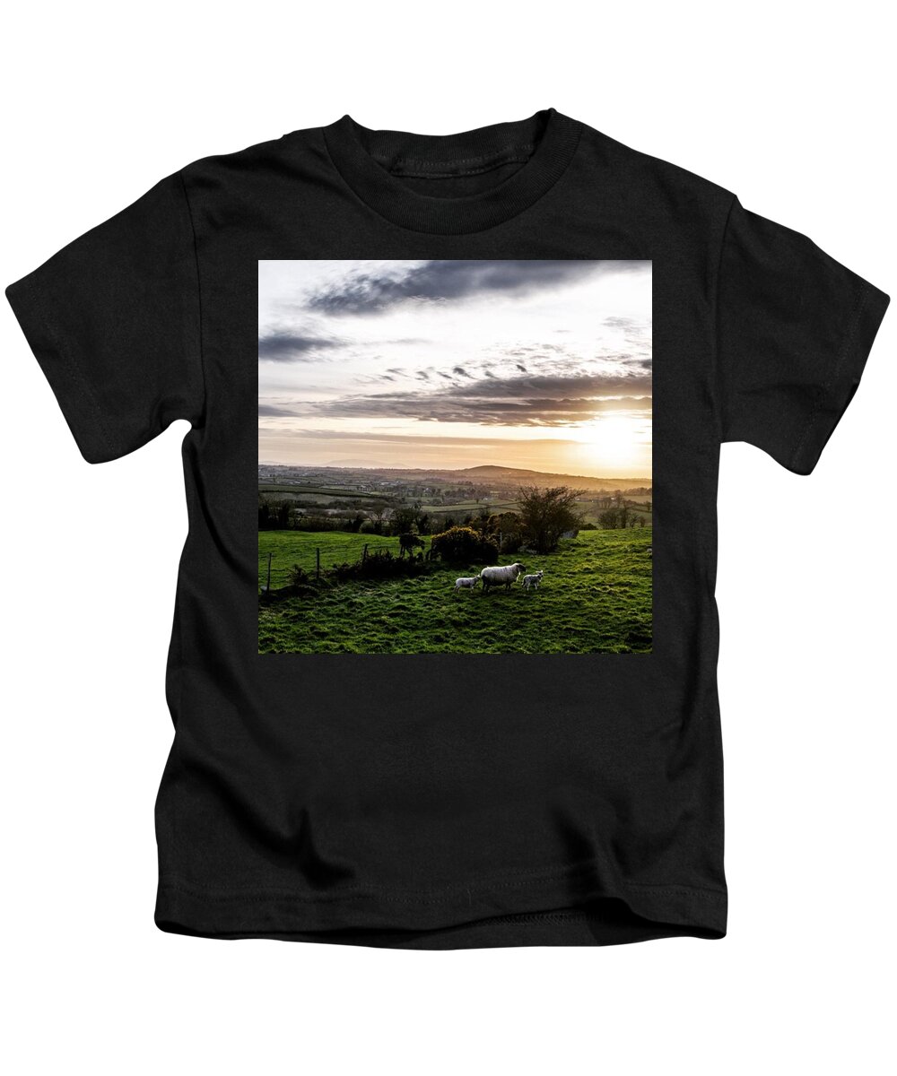 Sheep Kids T-Shirt featuring the photograph Lambs by Aleck Cartwright