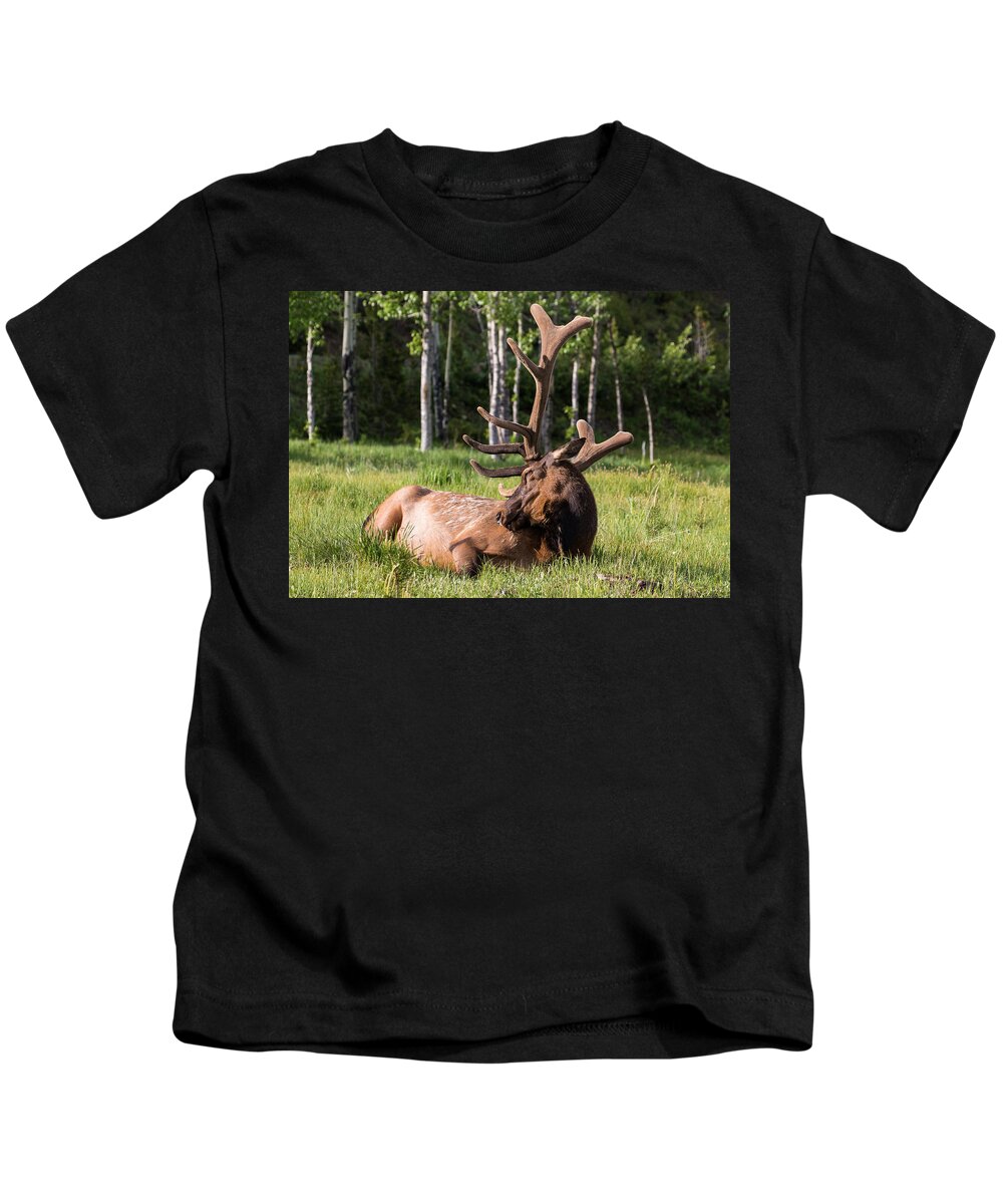 Elk Kids T-Shirt featuring the photograph Let Sleeping Elk Lie by Mindy Musick King