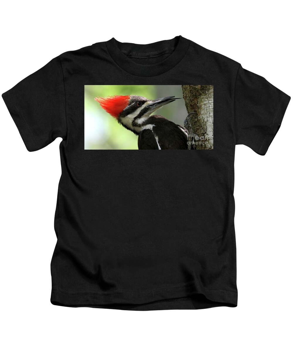 Pileated Woodpecker Kids T-Shirt featuring the photograph Lick It Up - Pileated Woodpecker by Meg Rousher