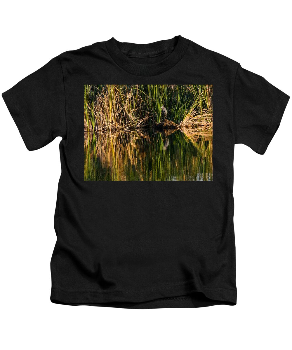 Heron Kids T-Shirt featuring the photograph Little Blue Heron by Steven Sparks