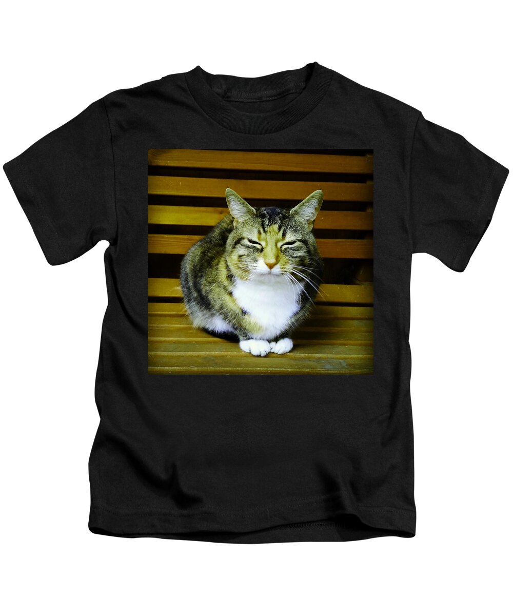 Cat Kids T-Shirt featuring the photograph Mindful Cat in Gold by Rowena Tutty