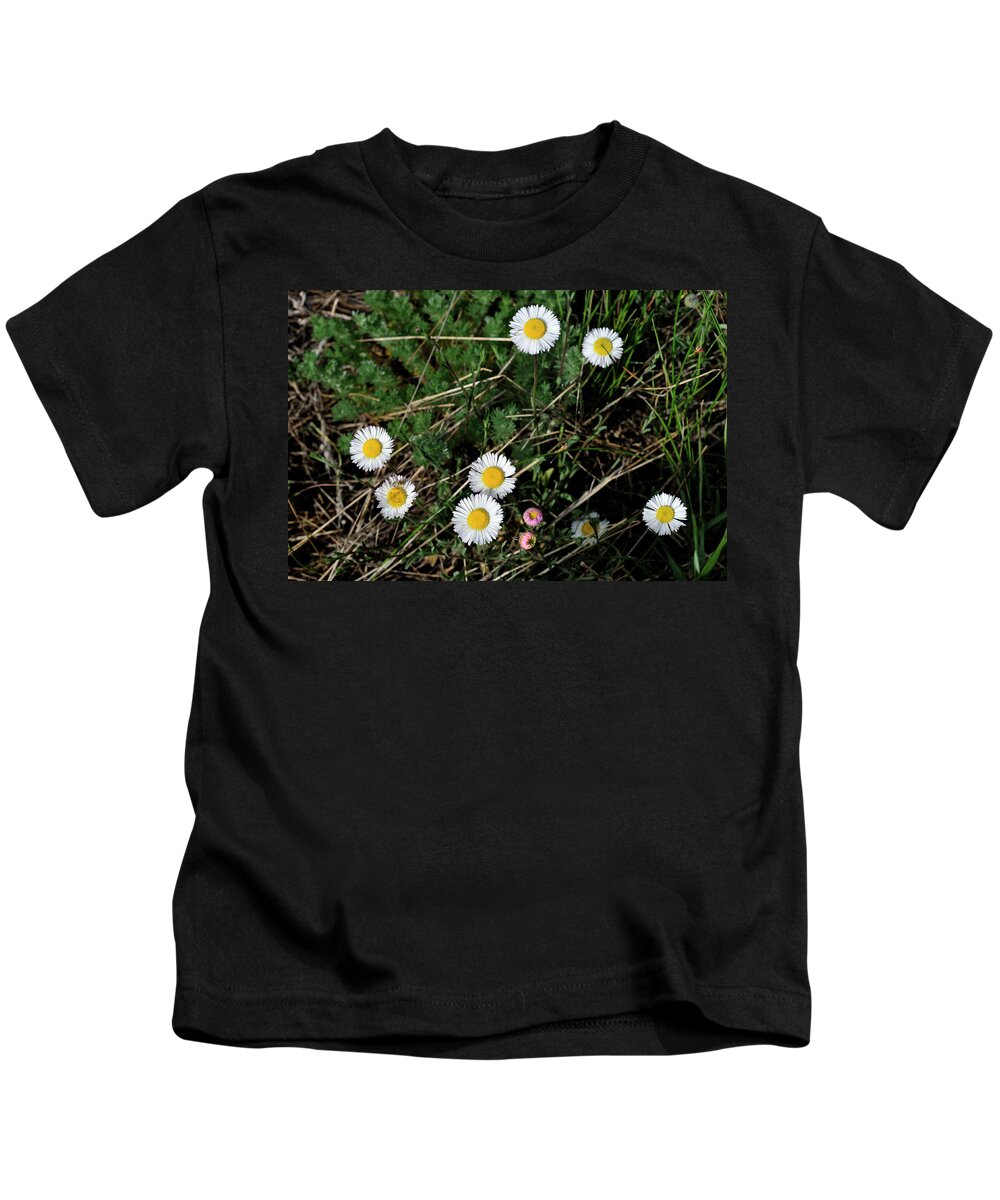 Flowers Kids T-Shirt featuring the photograph Mini Daisies by Ron Cline