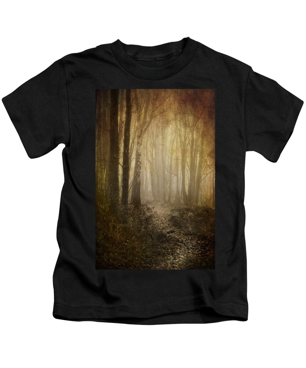 Aged Kids T-Shirt featuring the photograph Misty Woodland Path by Meirion Matthias