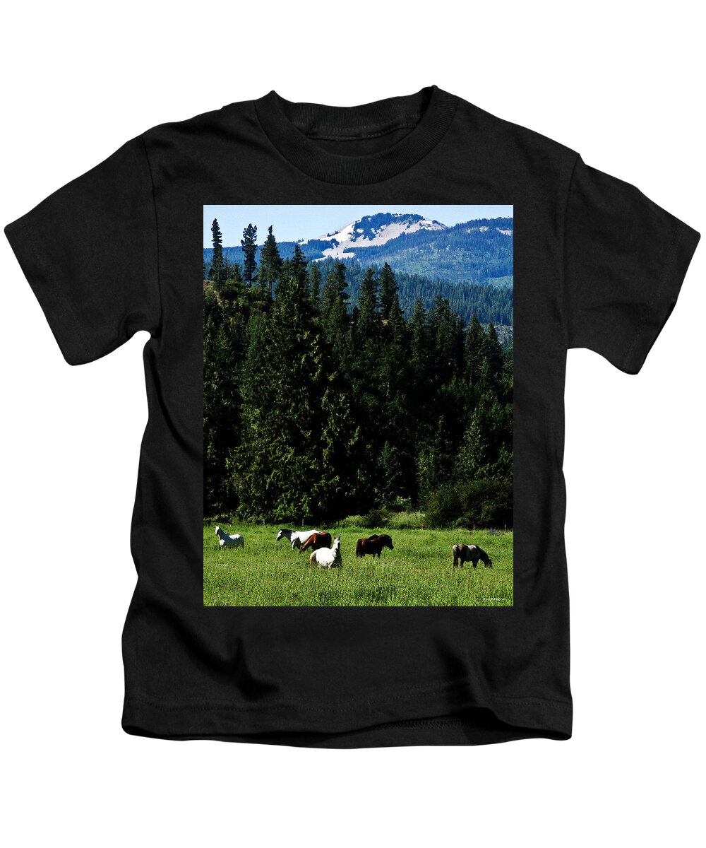 Horses Kids T-Shirt featuring the photograph Mountain Herd by Joseph Noonan