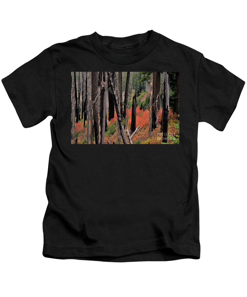 Oregon Kids T-Shirt featuring the photograph New Life by Merle Grenz